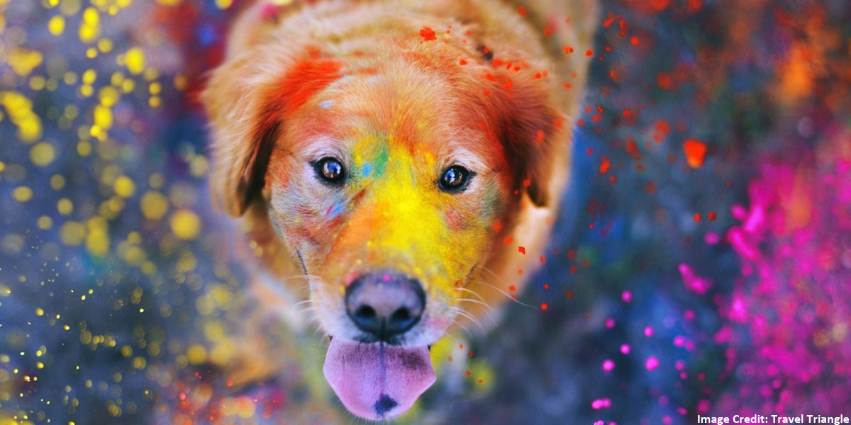 Take a Pledge to Not Splash Colors on the Animals! -